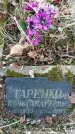 Захоронение ID 1358059