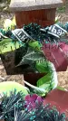 Захоронение ID 1358341