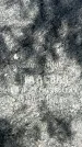 Захоронение ID 1358475