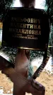 Захоронение ID 1358663