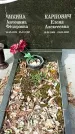 Захоронение ID 1358745