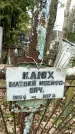 Захоронение ID 1358808