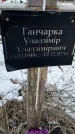 Захоронение ID 1358838