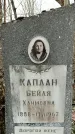 Захоронение ID 1358982