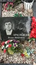 Захоронение ID 1359005
