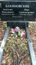 Захоронение ID 1359009