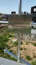 Захоронение ID 1359609