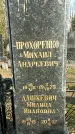Захоронение ID 1359655