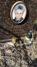 Захоронение ID 1359803