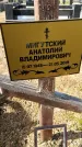 Захоронение ID 1359815