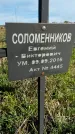 Захоронение ID 1359889