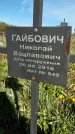 Захоронение ID 1359892