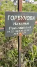 Захоронение ID 1359920
