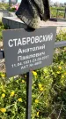 Захоронение ID 1359951