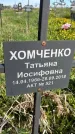 Захоронение ID 1359953