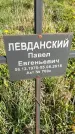 Захоронение ID 1359963