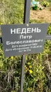 Захоронение ID 1359964