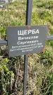 Захоронение ID 1359969