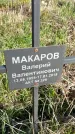 Захоронение ID 1359973