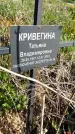 Захоронение ID 1359981