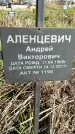 Захоронение ID 1359982