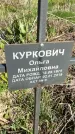 Захоронение ID 1359985