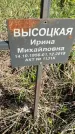 Захоронение ID 1359989