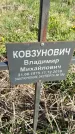 Захоронение ID 1359992