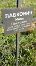 Захоронение ID 1359998