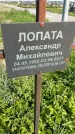 Захоронение ID 1360010