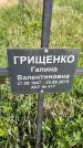 Захоронение ID 1360017