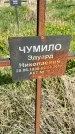Захоронение ID 1360029