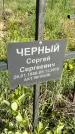 Захоронение ID 1360033