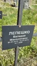 Захоронение ID 1360038