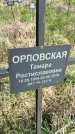 Захоронение ID 1360066