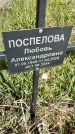 Захоронение ID 1360082