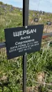 Захоронение ID 1360101