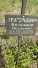 Захоронение ID 1360136