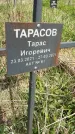 Захоронение ID 1360139