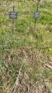 Захоронение ID 1360180