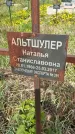 Захоронение ID 1360197