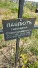 Захоронение ID 1360222