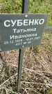 Захоронение ID 1360264