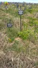 Захоронение ID 1360294