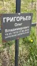 Захоронение ID 1360302