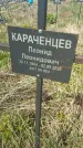 Захоронение ID 1360344