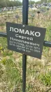 Захоронение ID 1360356