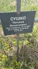 Захоронение ID 1360376