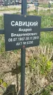 Захоронение ID 1360412