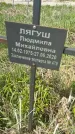 Захоронение ID 1360416